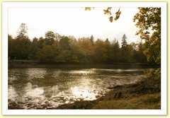 alentour2